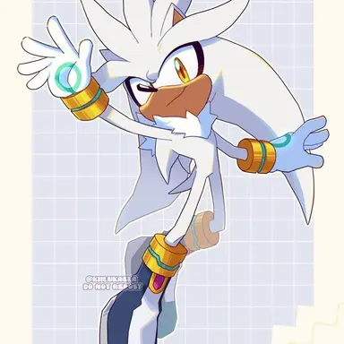 Profile image of シルバー