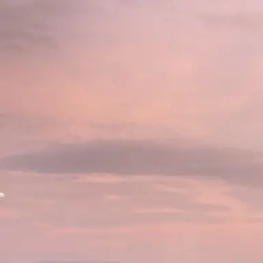 Profile image of 灯火