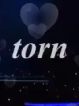 J.KNJN8.torn05161103.의 torn