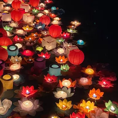 Profile image of 서라더