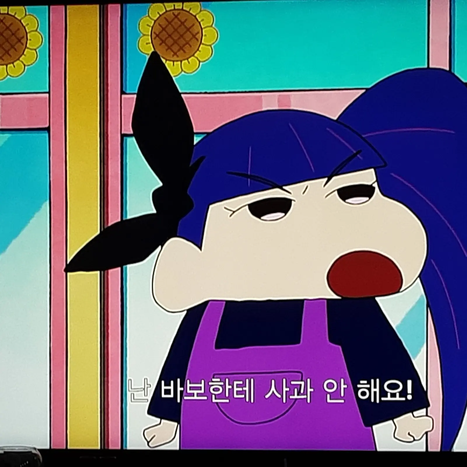 k12s31u의 보라 가족