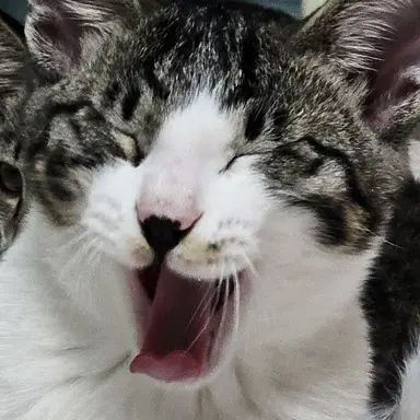 Profile image of 유저