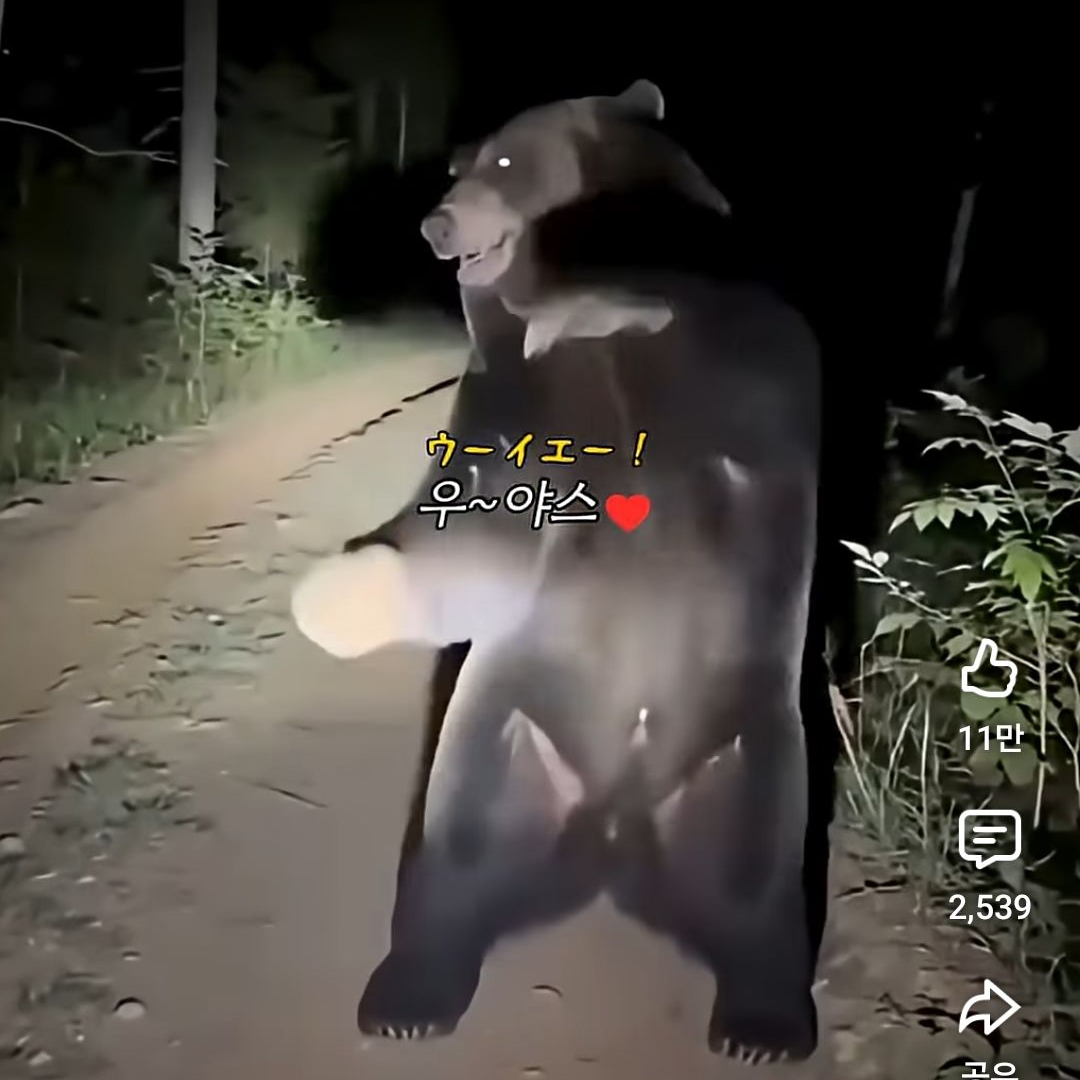 댕댕 컴퍼니 얀데레 싸이코 바이러스? 대표 이미지