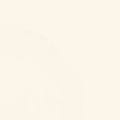 Profile image of 돈 키호테
