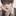 최이혁
