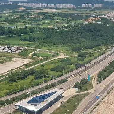 Profile image of 공룡