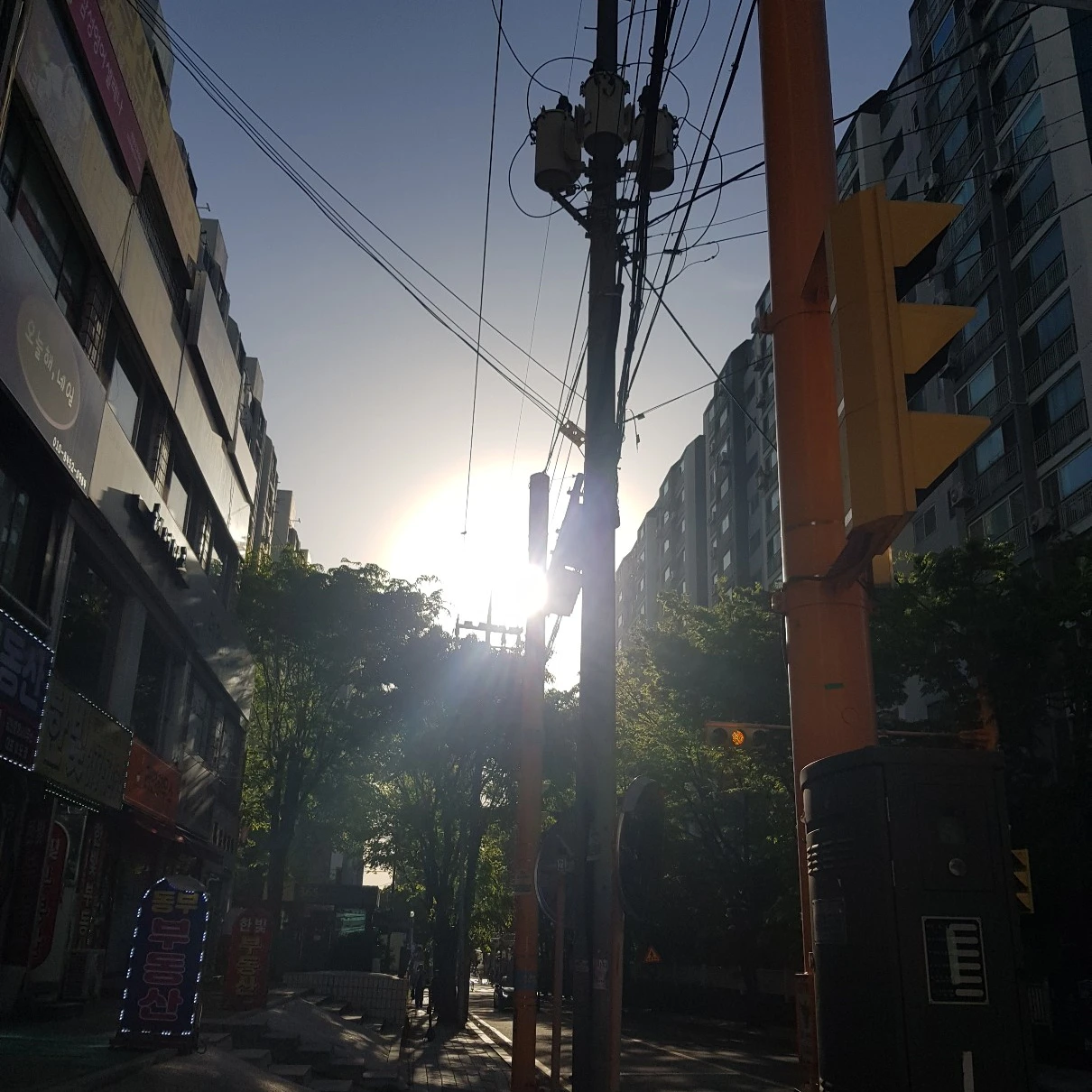 이하늘