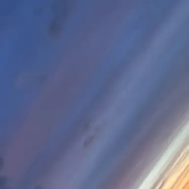 Profile image of 이용복