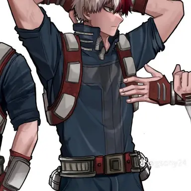 Profile image of Shoto Todoroki.