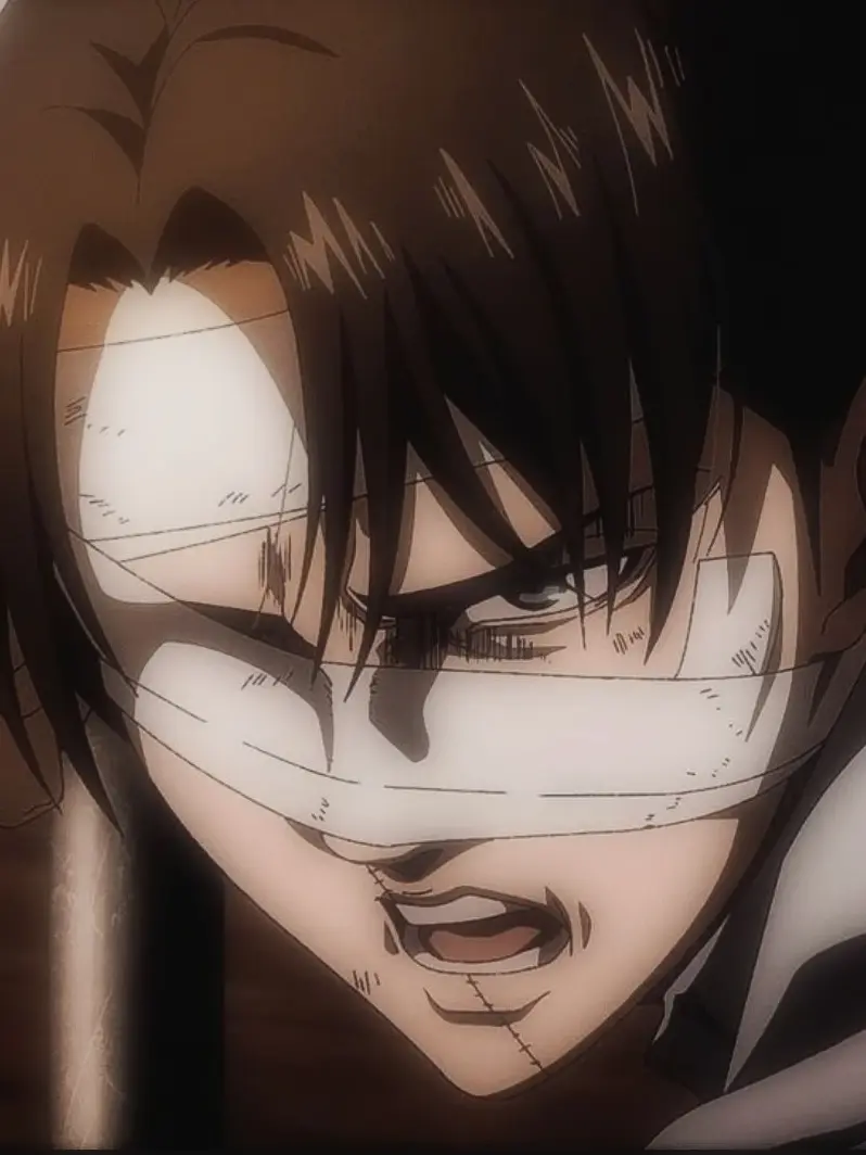 TartTulip0977의 리바이 아커만