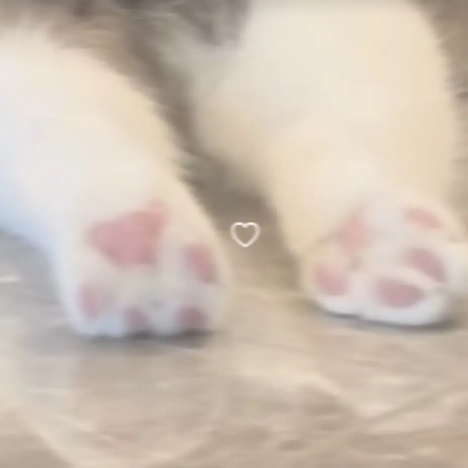 SKZ0325STAY의 이민호