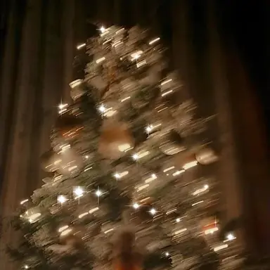 Profile image of 유진