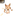 다즈