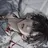 김승우