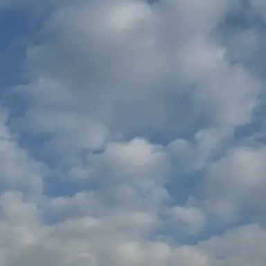 Profile image of 송 현