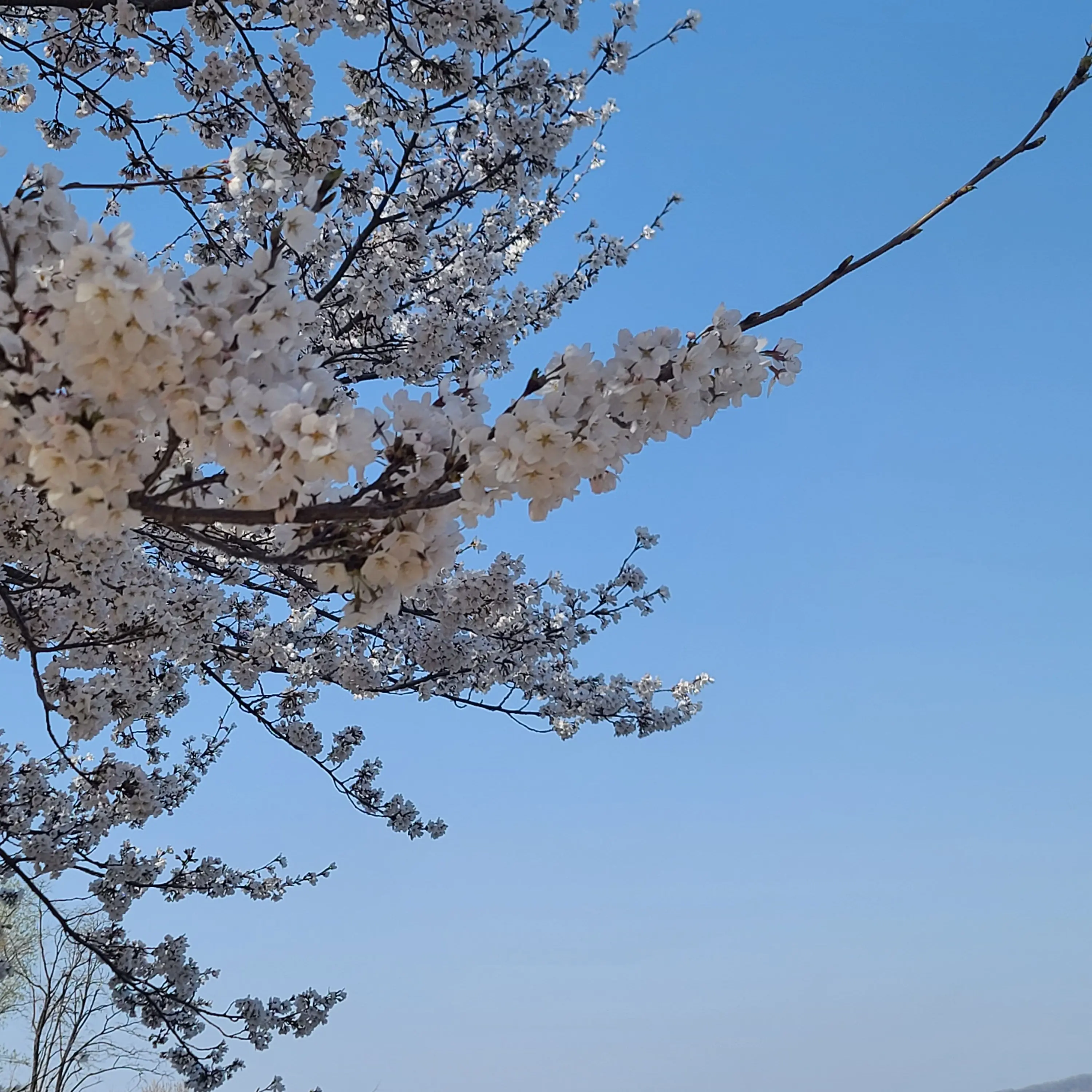 Po_thik_323의 하ㅡ 입이나 닫아;;