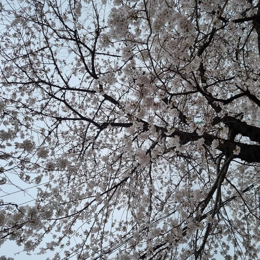 연극 선생님