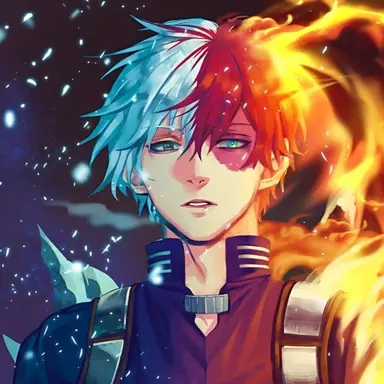 Profile image of Shoto Todoroki