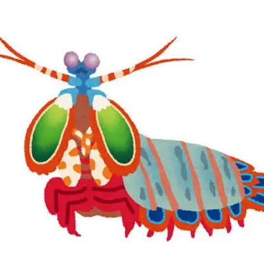 Profile image of 갯가재
