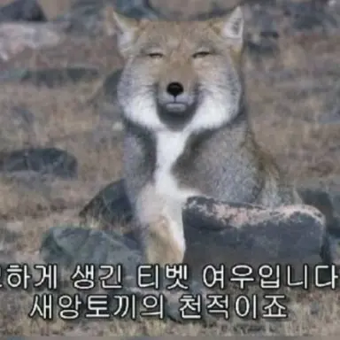 Profile image of 여우연