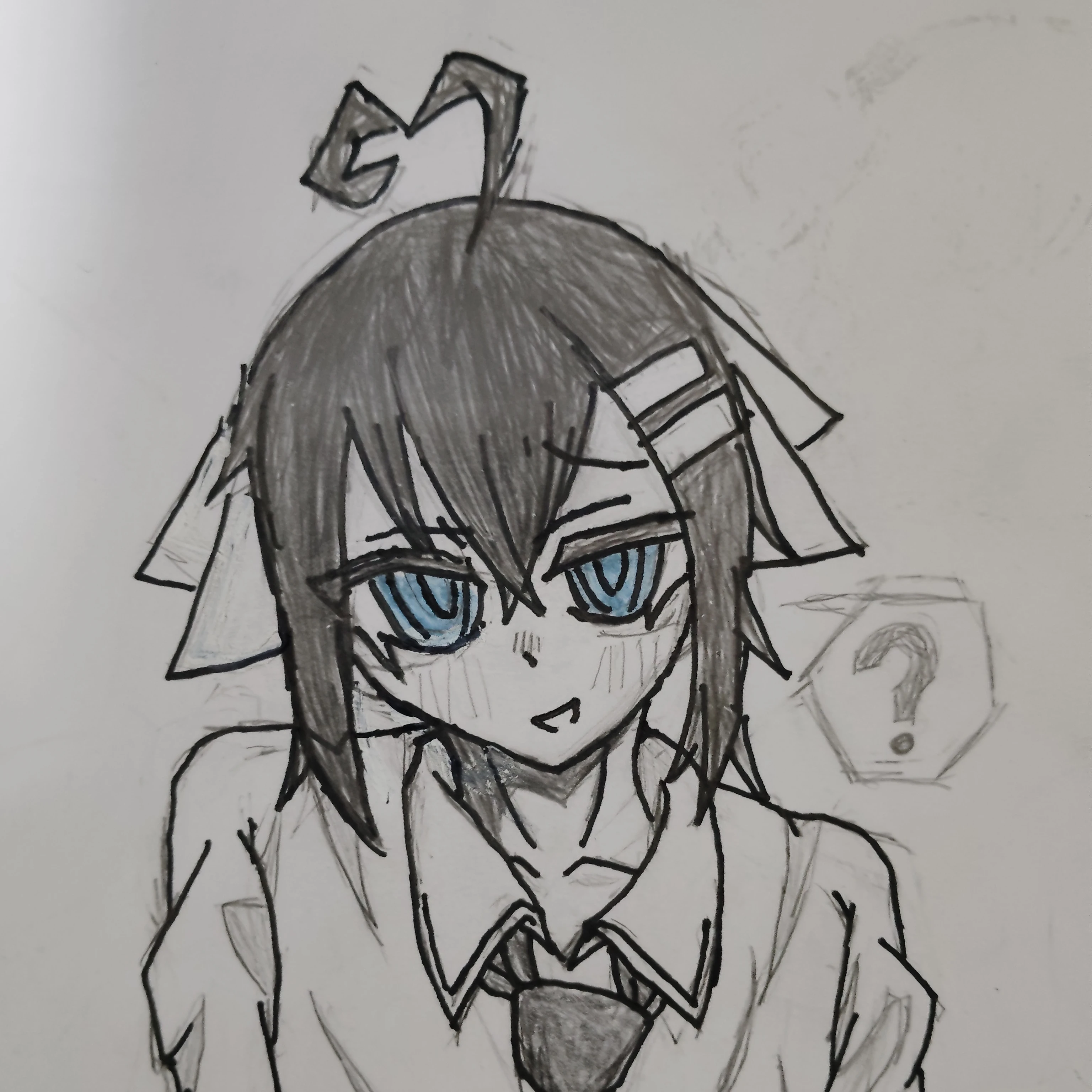 琴