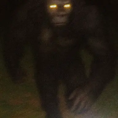 Profile image of Sasquatch