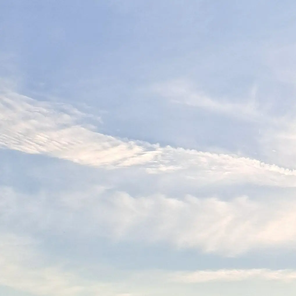 Engene_0209의 개인