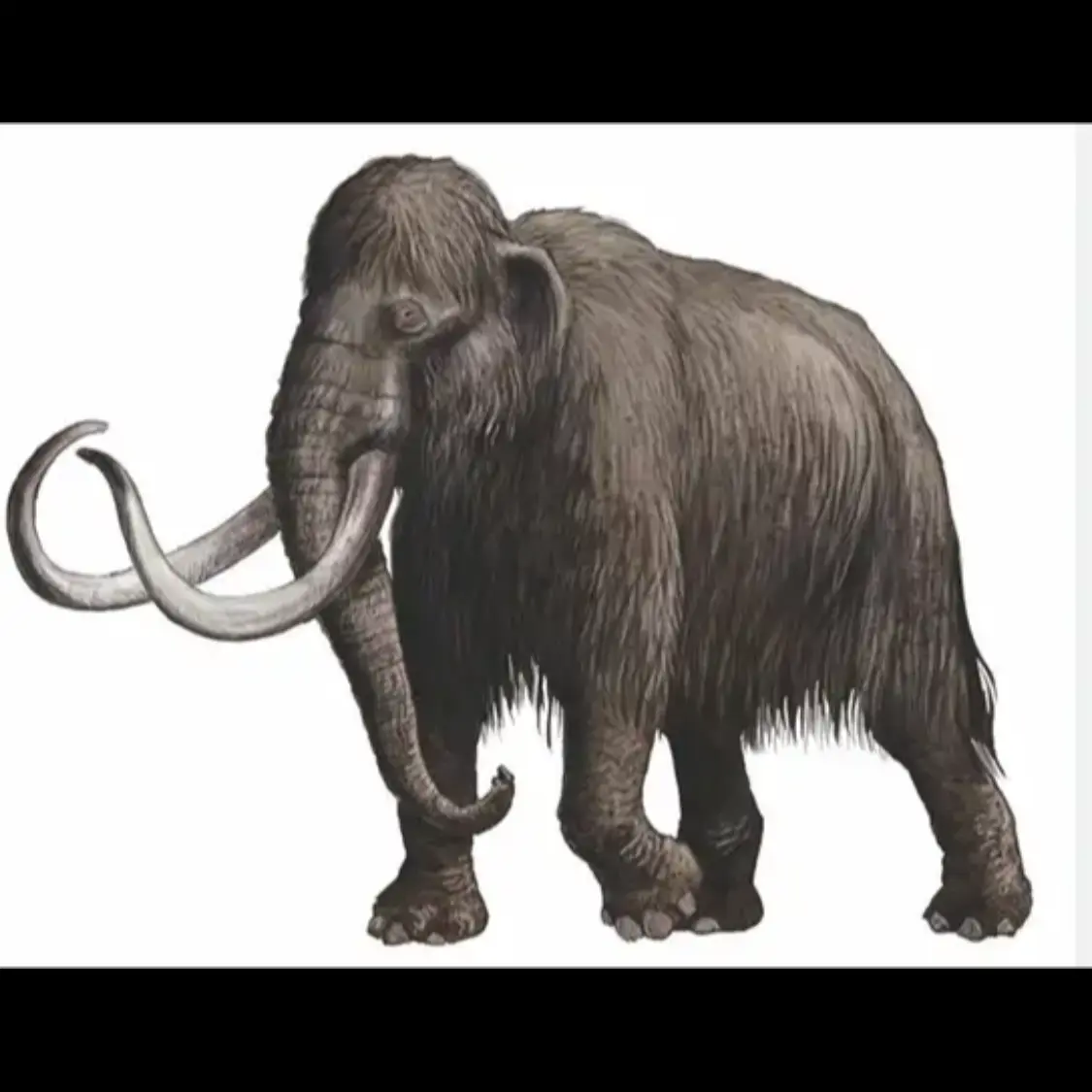 FierceGrill7471의 김예준