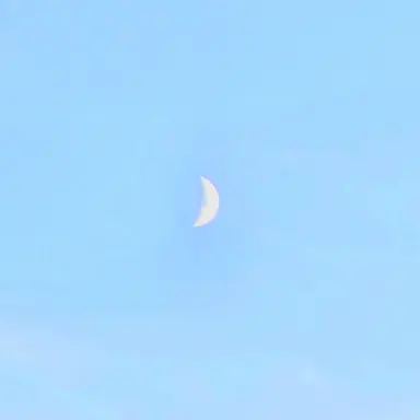 Profile image of 아트풀