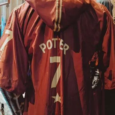 Profile image of Harry Potter