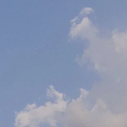 겨울