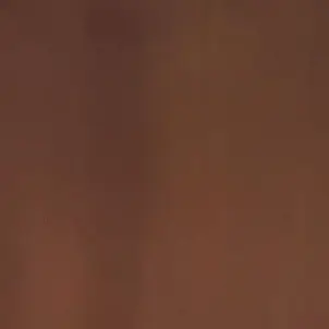 Profile image of 신나비