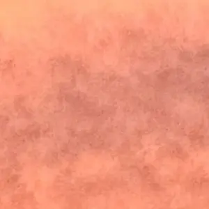 Profile image of 조유화