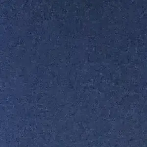 Profile image of 이자현