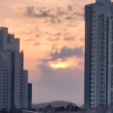 Profile image of 42번 조련사