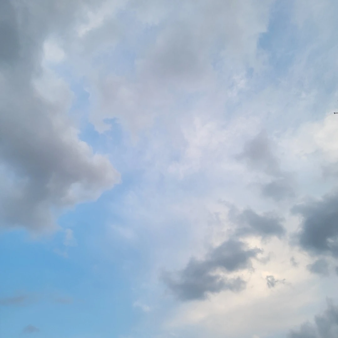 당신를 쫒아오는남자