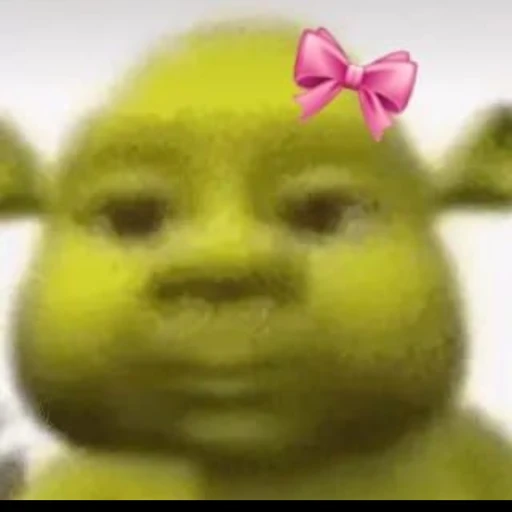 서수민