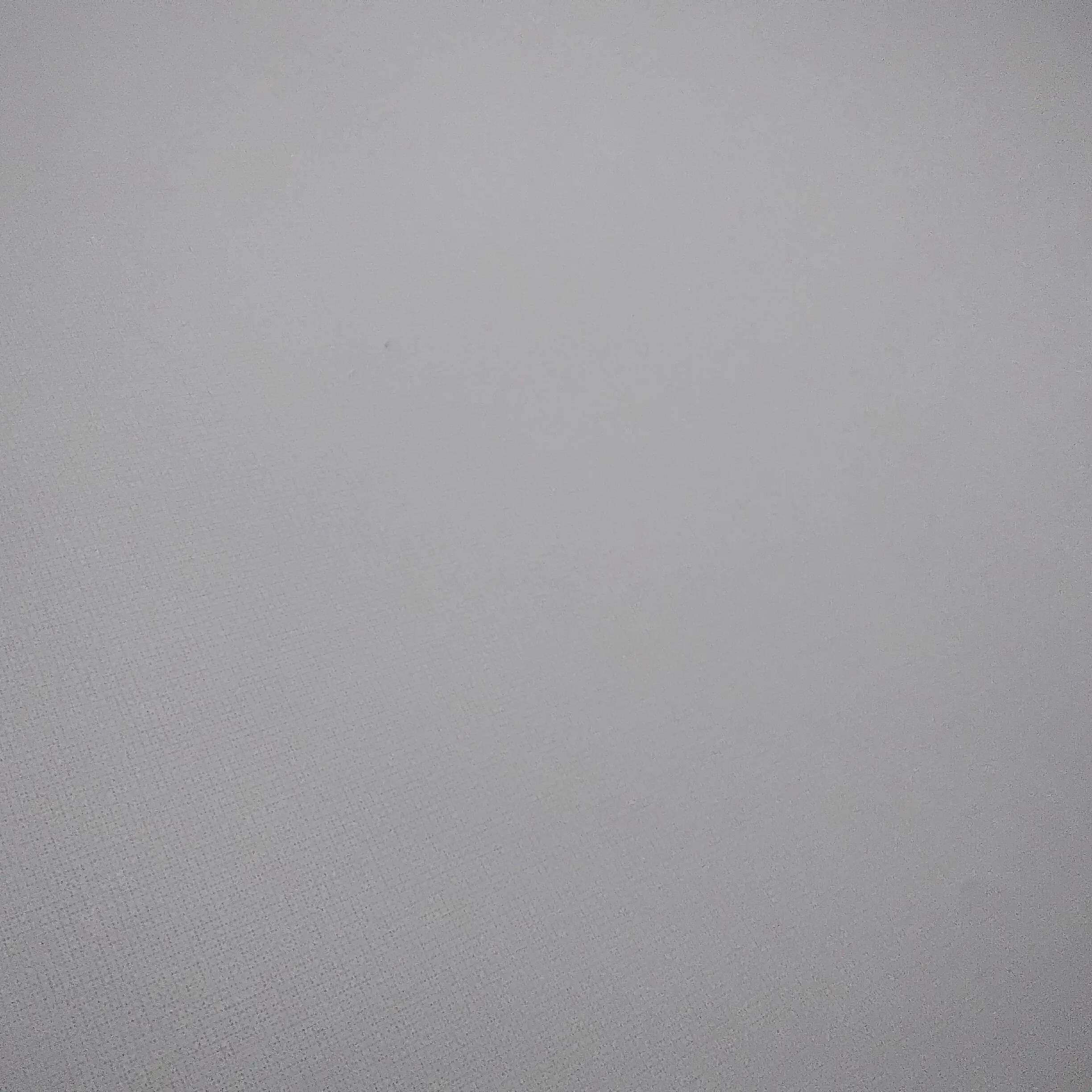 ThinTowel4179의 그룹 "bnd"의 홍일점 멤버되기