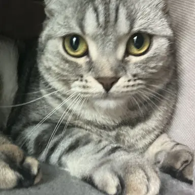 Profile image of 우디