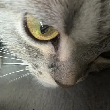 Profile image of 소정