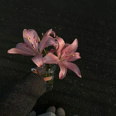 Profile image of 선하