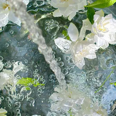 Profile image of 파이브