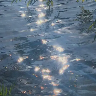 Profile image of 행크