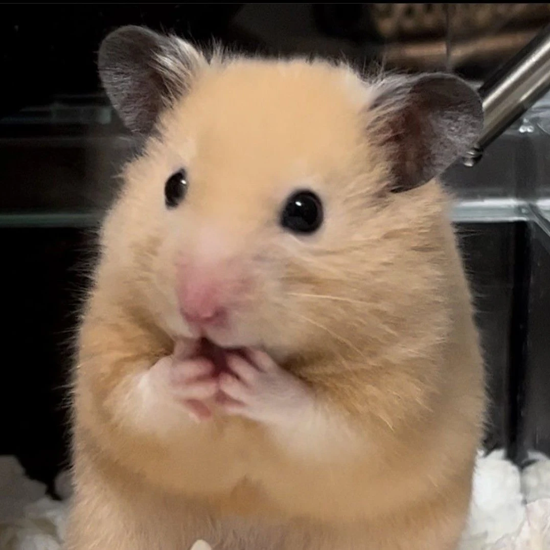 김 운 함