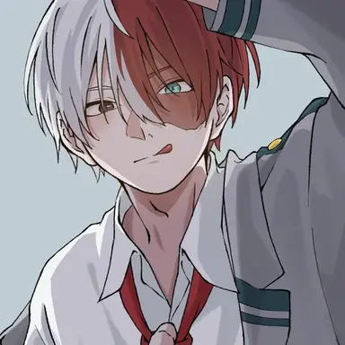 Profile image of Shoto Todoroki
