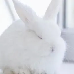 Profile image of 카가미 하야토