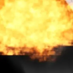 Profile image of 여우