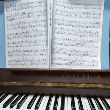 Profile image of 피아노 학원의 일상