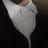 이찬영