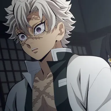 Profile image of 시나즈가와 사네미